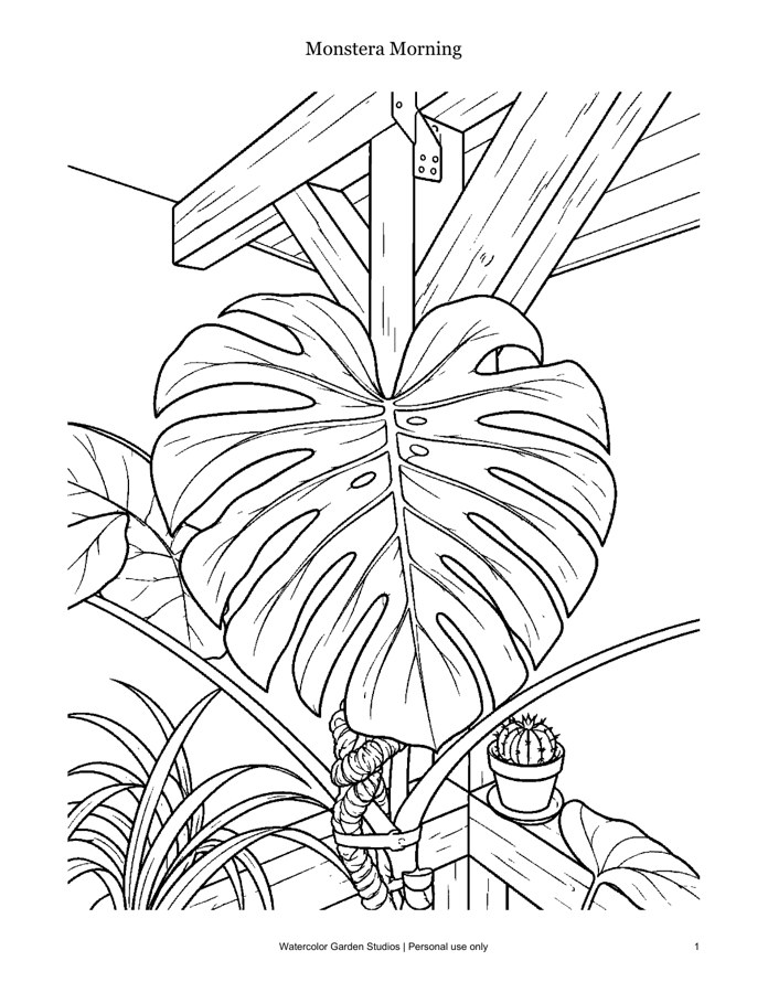 Monstera Morning — Coloring Page