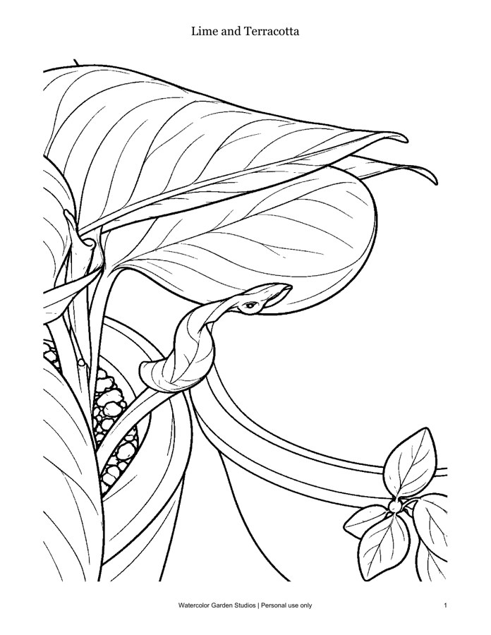 Lime and Terracotta — Coloring Page