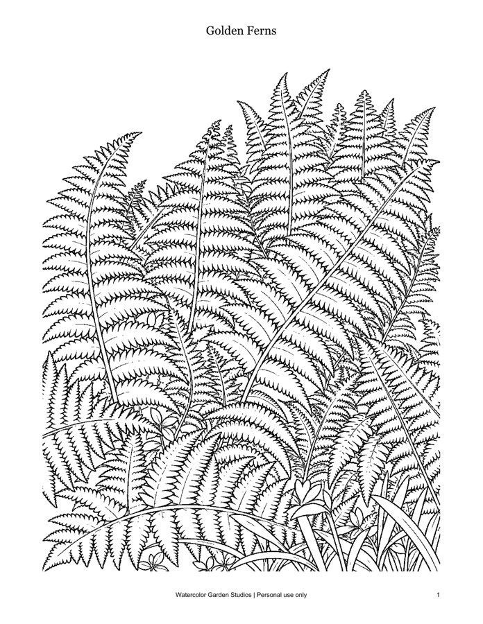 Golden Ferns — Coloring Page