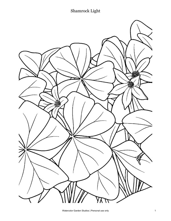 Shamrock Light — Coloring Page