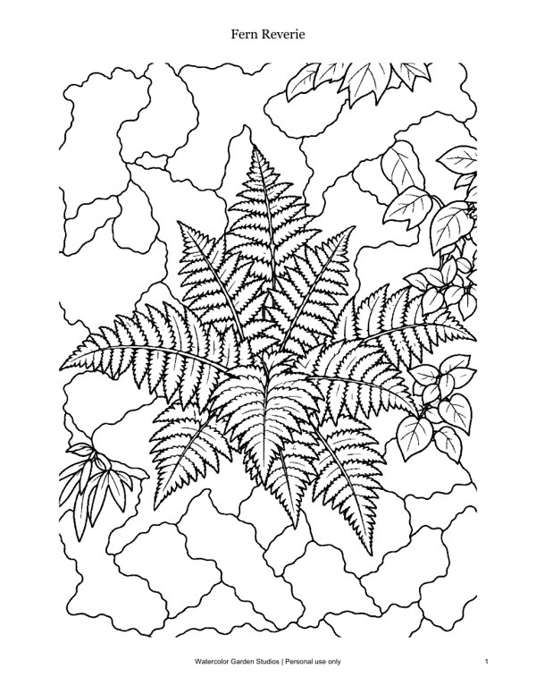 Fern Reverie — Coloring Page