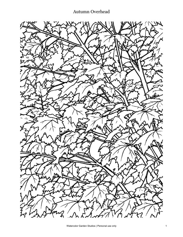 Autumn Overhead — Coloring Page
