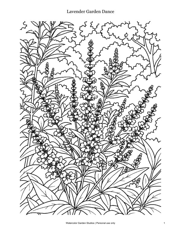Lavender Garden Dance — Coloring Page