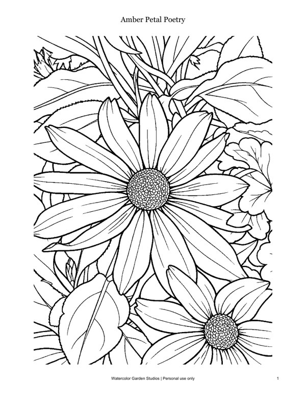 Amber Petal Poetry — Coloring Page