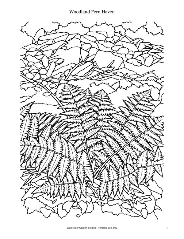 Woodland Fern Haven — Coloring Page