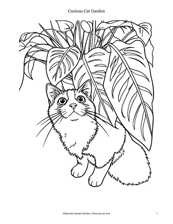 Curious Cat Garden — Coloring Page