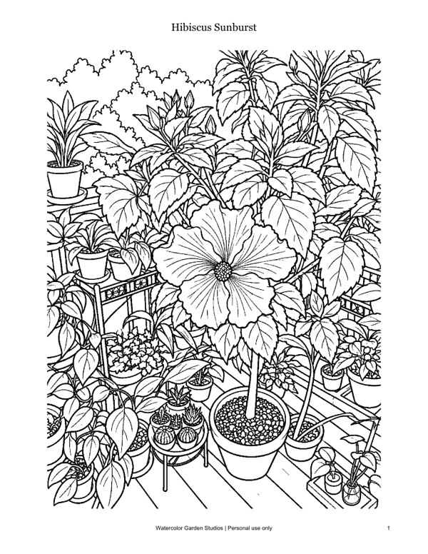 Hibiscus Sunburst — Coloring Page