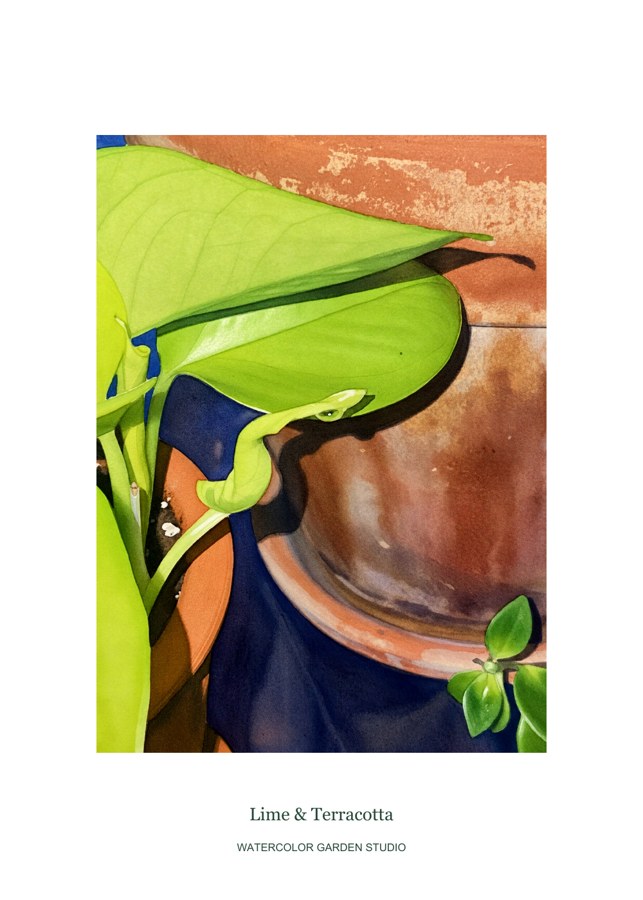 Lime and Terracotta