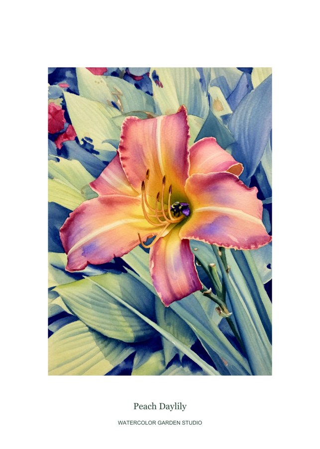 Peach Daylily
