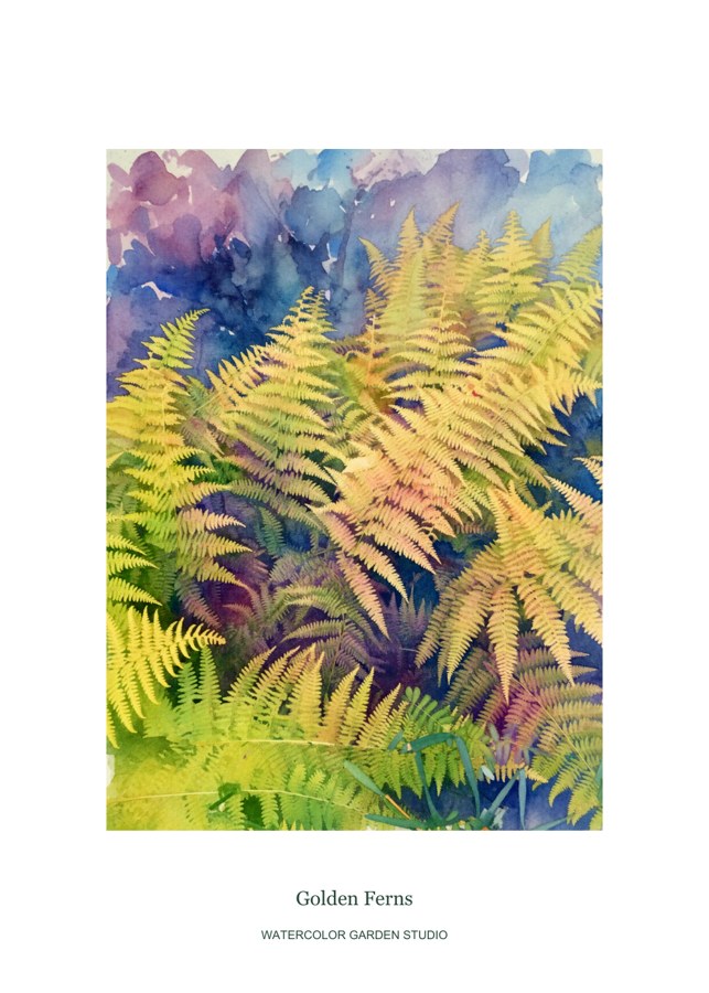 Golden Ferns