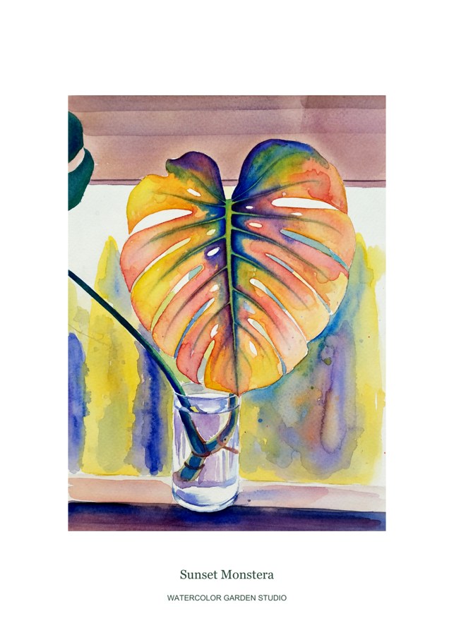Sunset Monstera