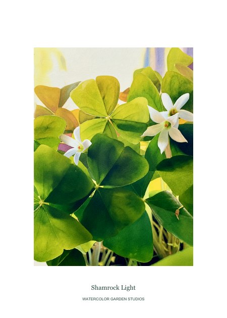 Shamrock Light