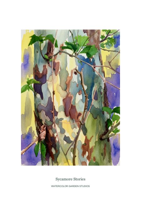 Sycamore Stories