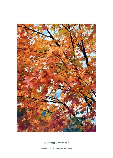 Autumn Overhead