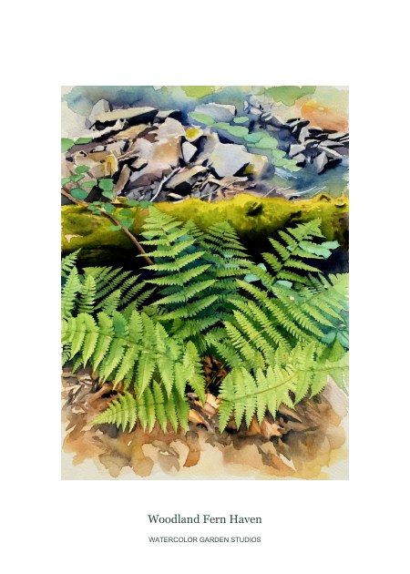 Woodland Fern Haven