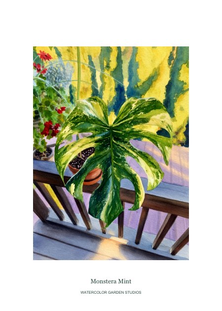 Monstera Mint